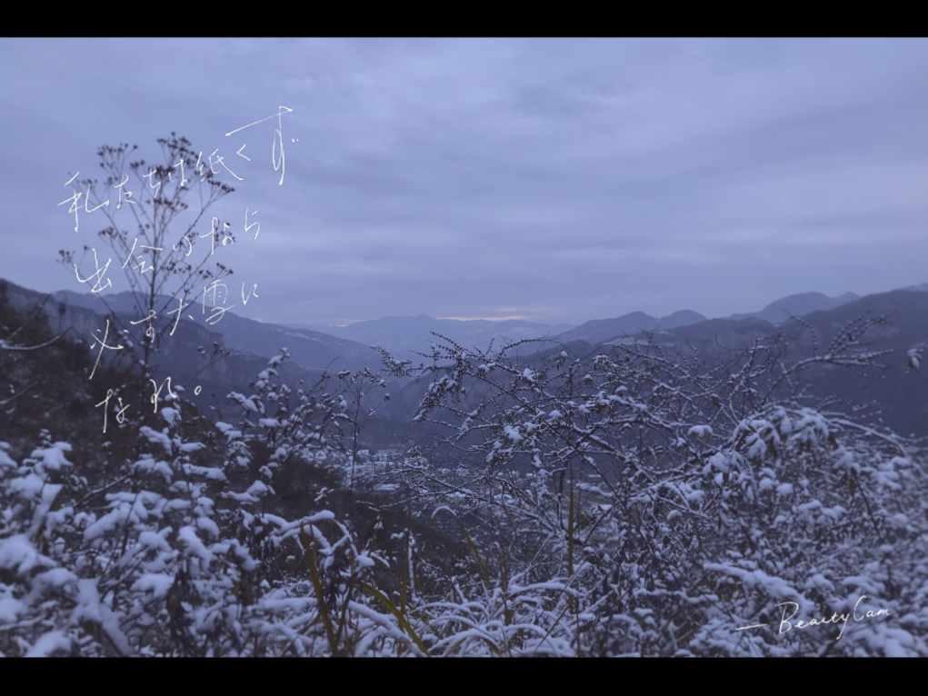 逃离大犀牛出没地