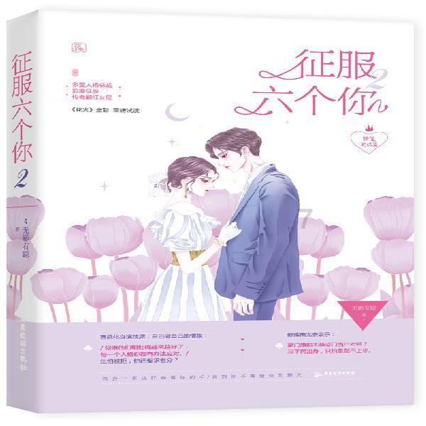 疯狂的小偷