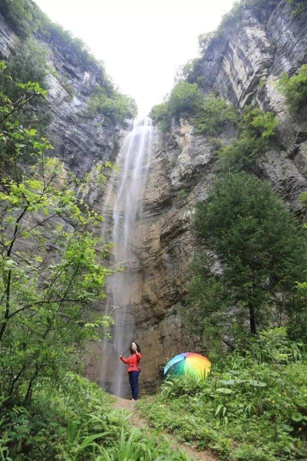 高级定制